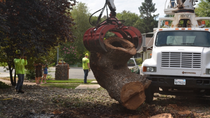 tree-removals@2x