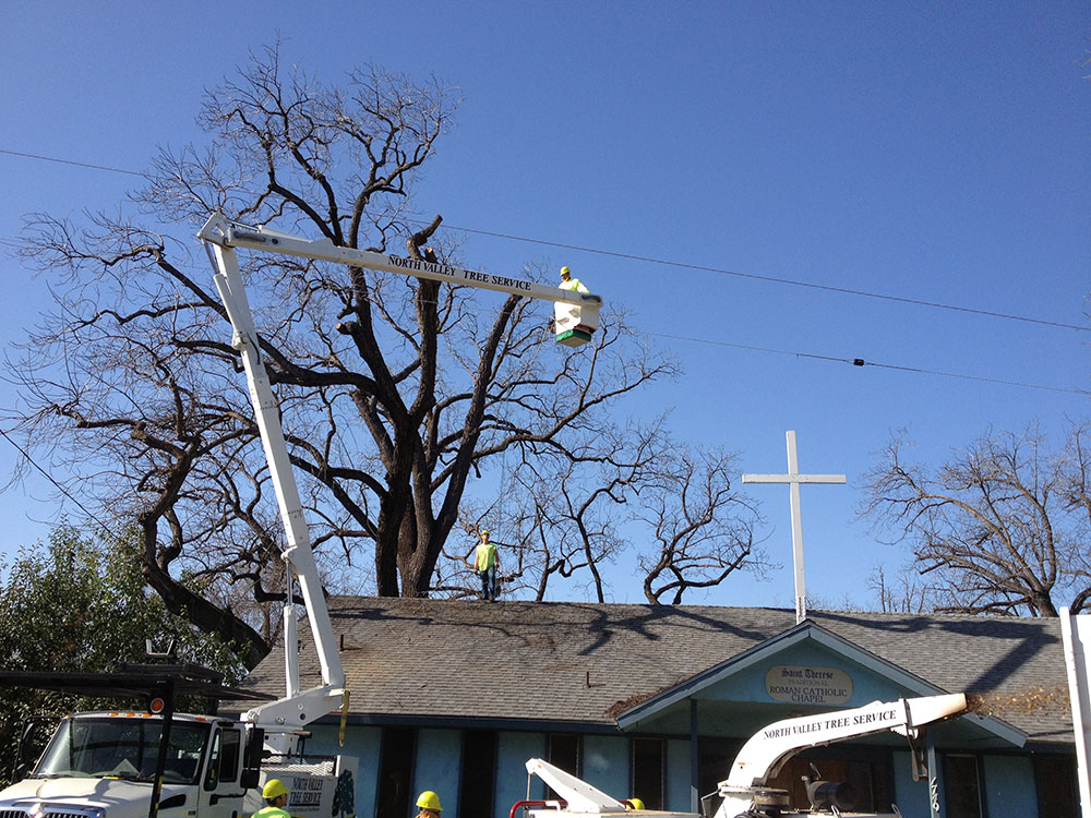 Saint Therese Church NV Tree